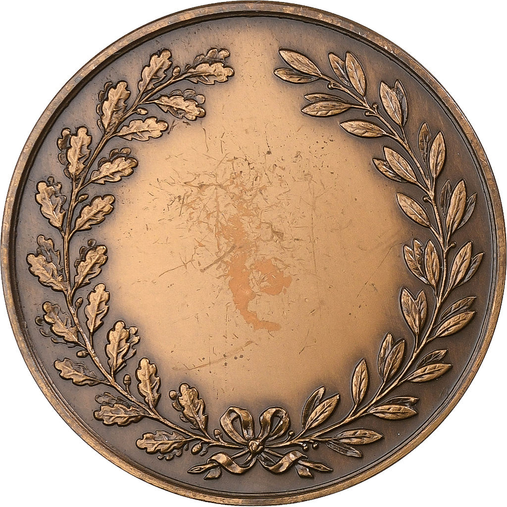 France, Medal, Valenciennes a bien mérité de la Patrie, Bronze, 