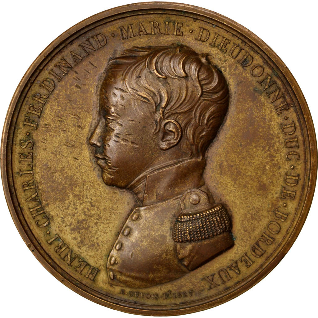 France, Medal, Charles X, Politics, Society, War, Dubois.E, , Bronze