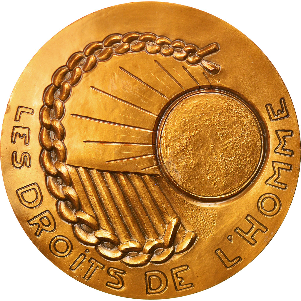 France, Medal, Les Droits de L 'Homme, Politics, Society, War, Buisson, 
