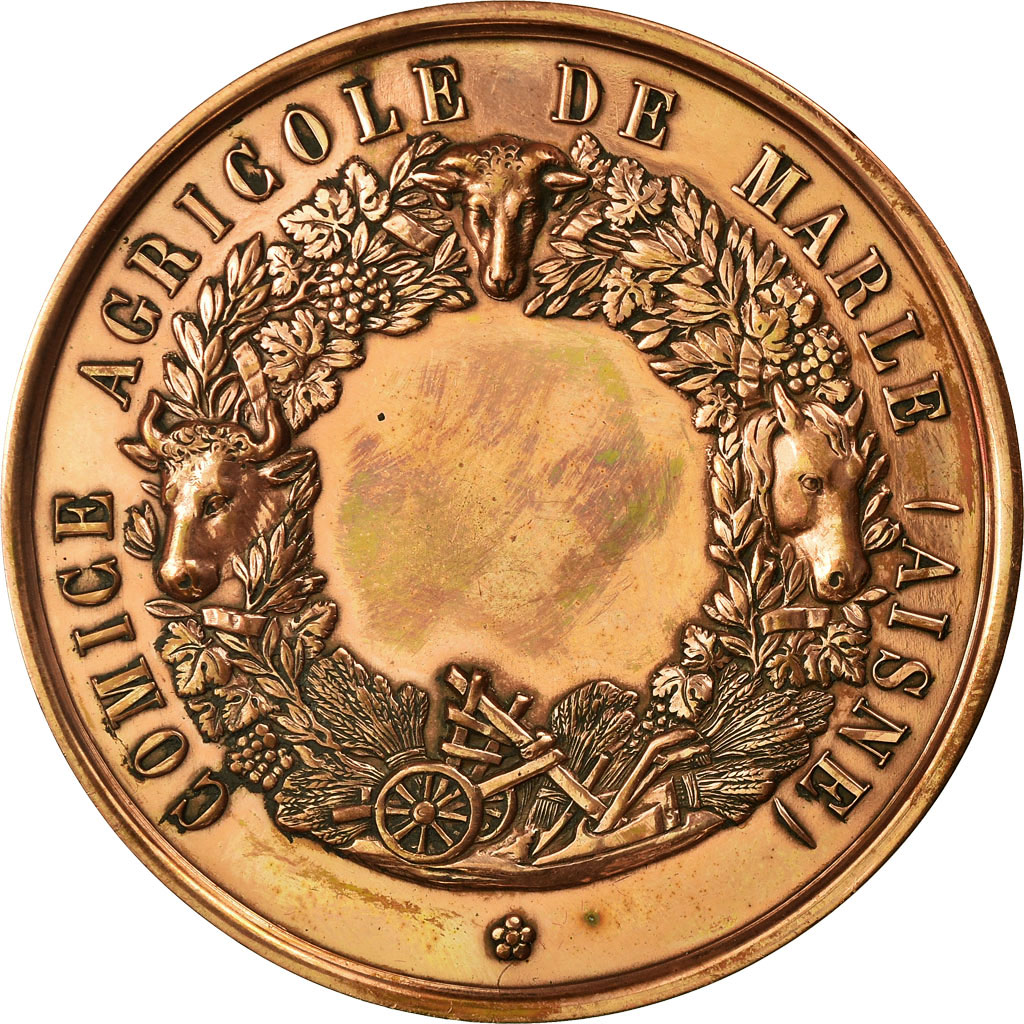France, Medal, Comice Agricole de Marle, Aisne, , Copper