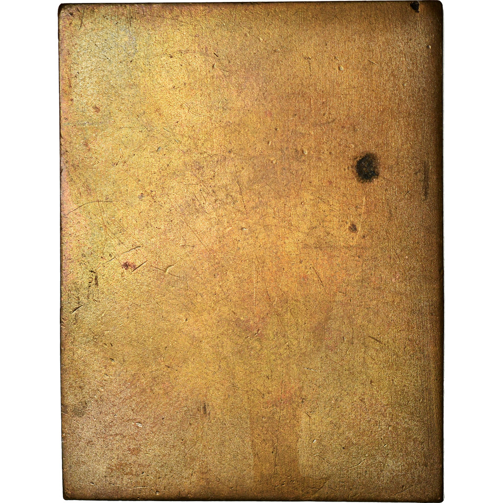 France, Medal, Société Militaire d'Escrime Pratique, , Bronze