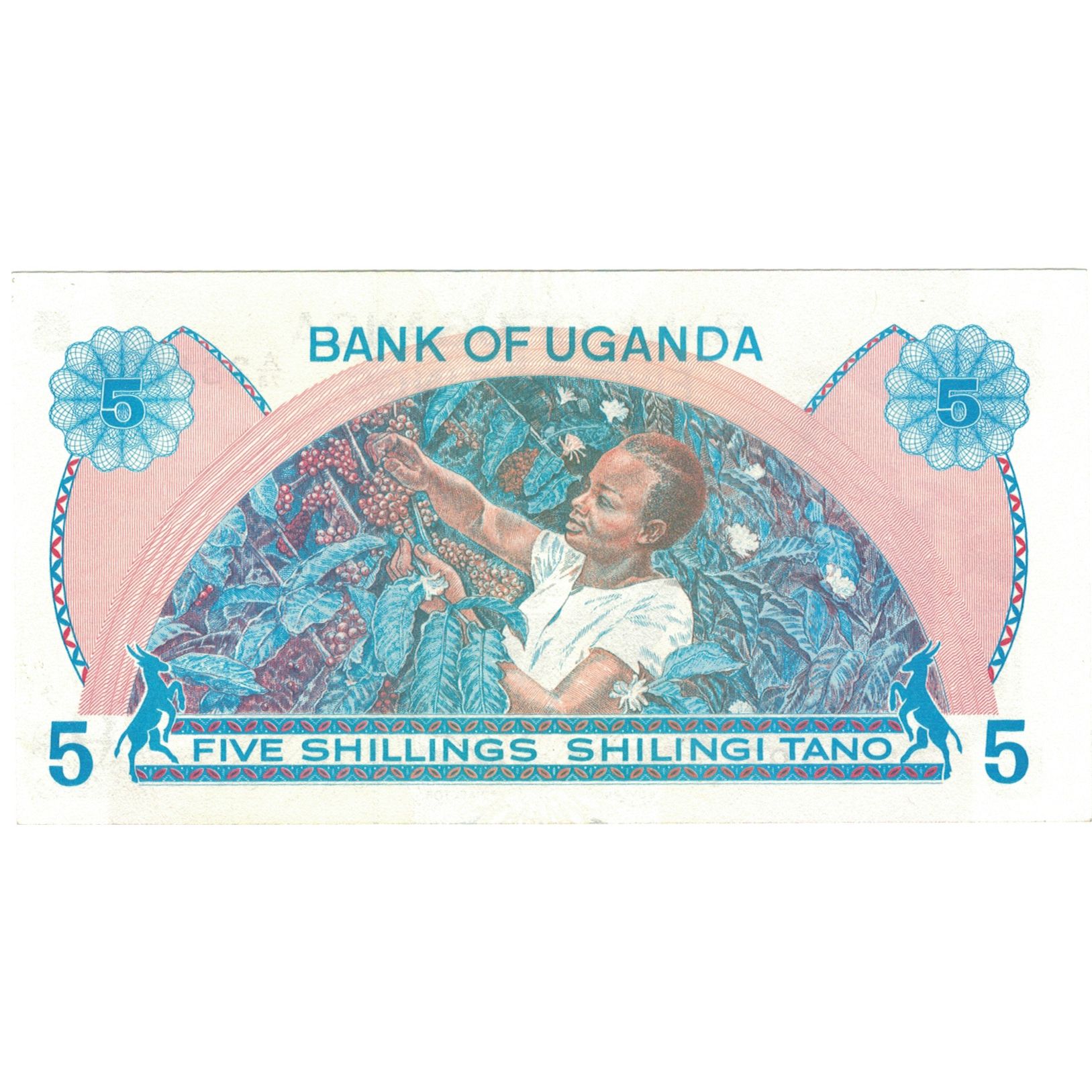 Billete, 5 Shillings, Undated (1979), Uganda, KM:10, SC+