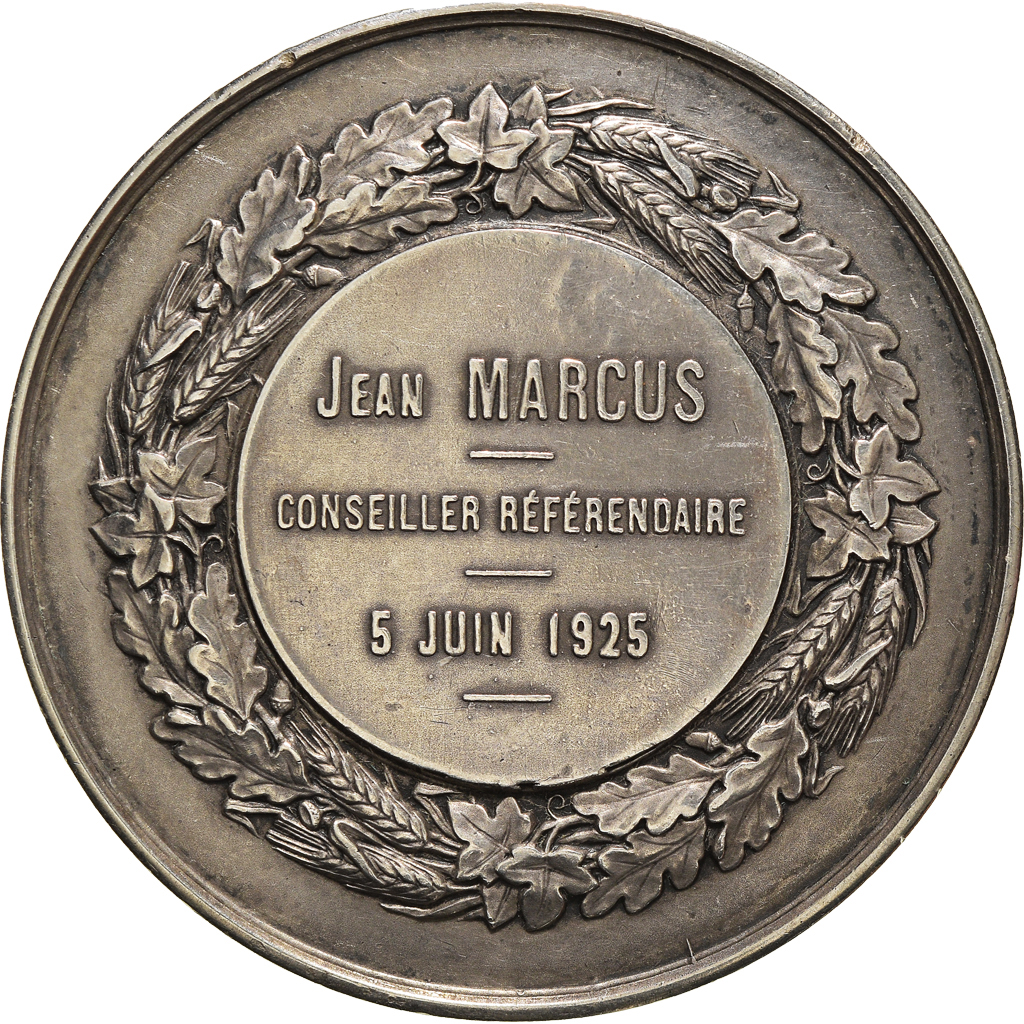 France, Medal, Politics, Society, War, 1925, Cour des Comptes, , Silver