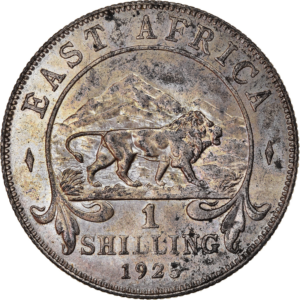 Coin, EAST AFRICA, George V, Shilling, 1925, , Silver, KM:21