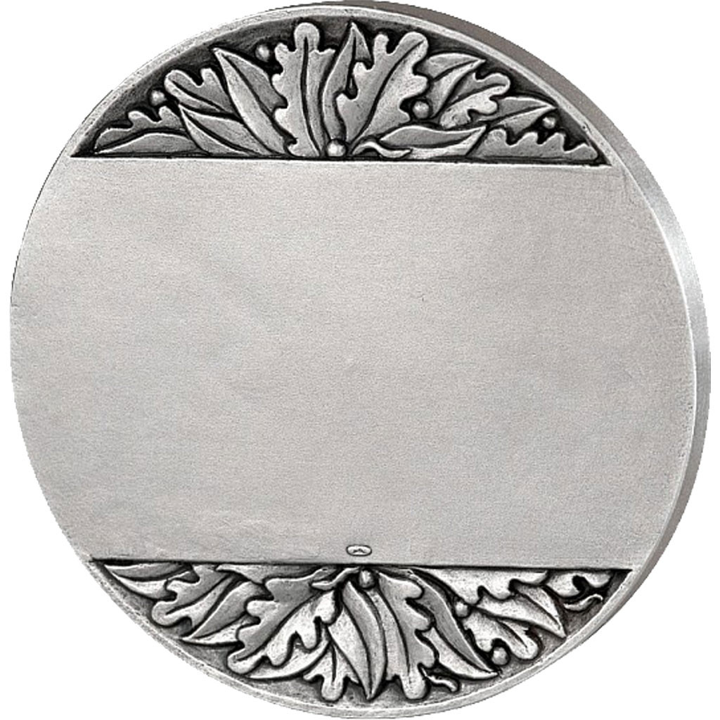 France, Medal, The Fifth Republic, Politics, Society, War, , Silvered