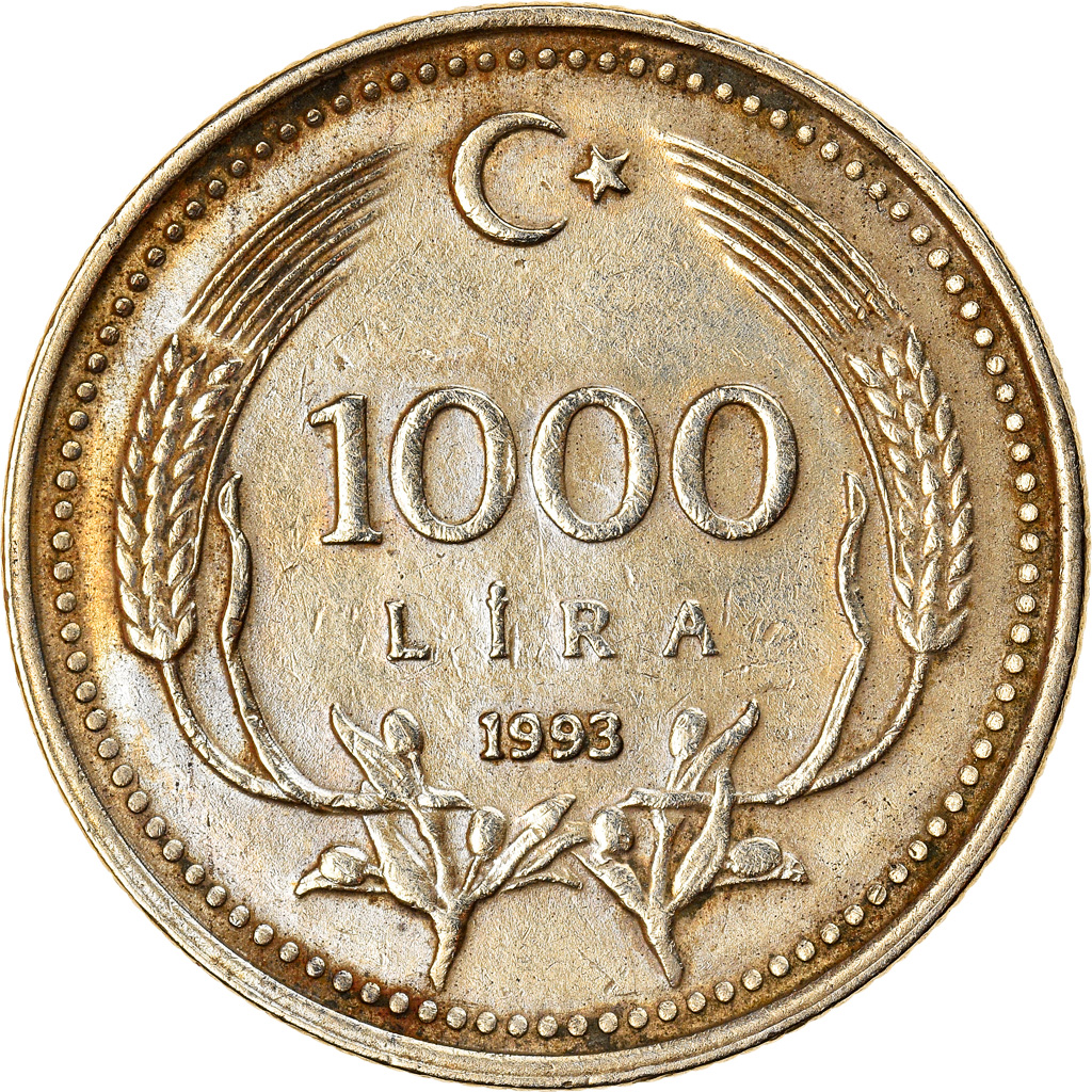 Coin, Turkey, 1000 Lira, 1993, , Nickel-brass, KM:997