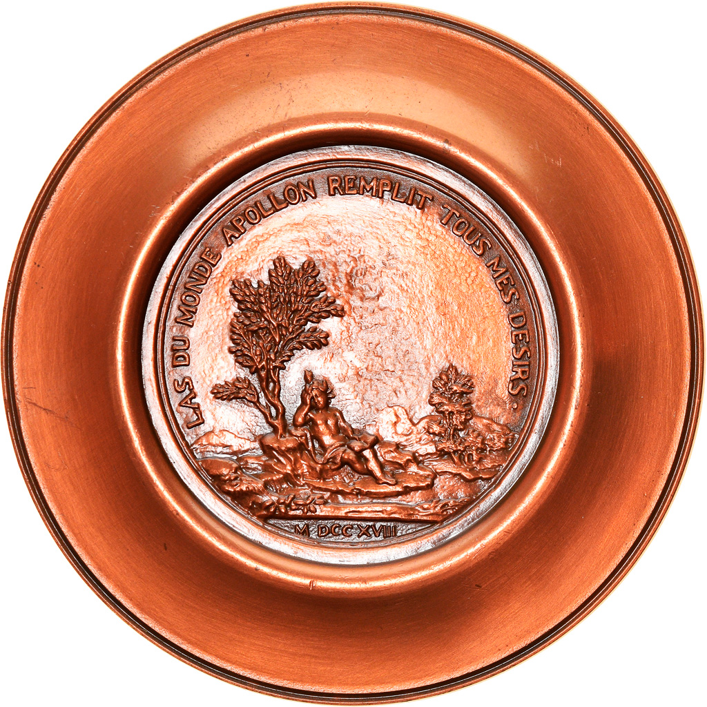 France, Medal, François Maynard, History, 1968, Cure, , Copper