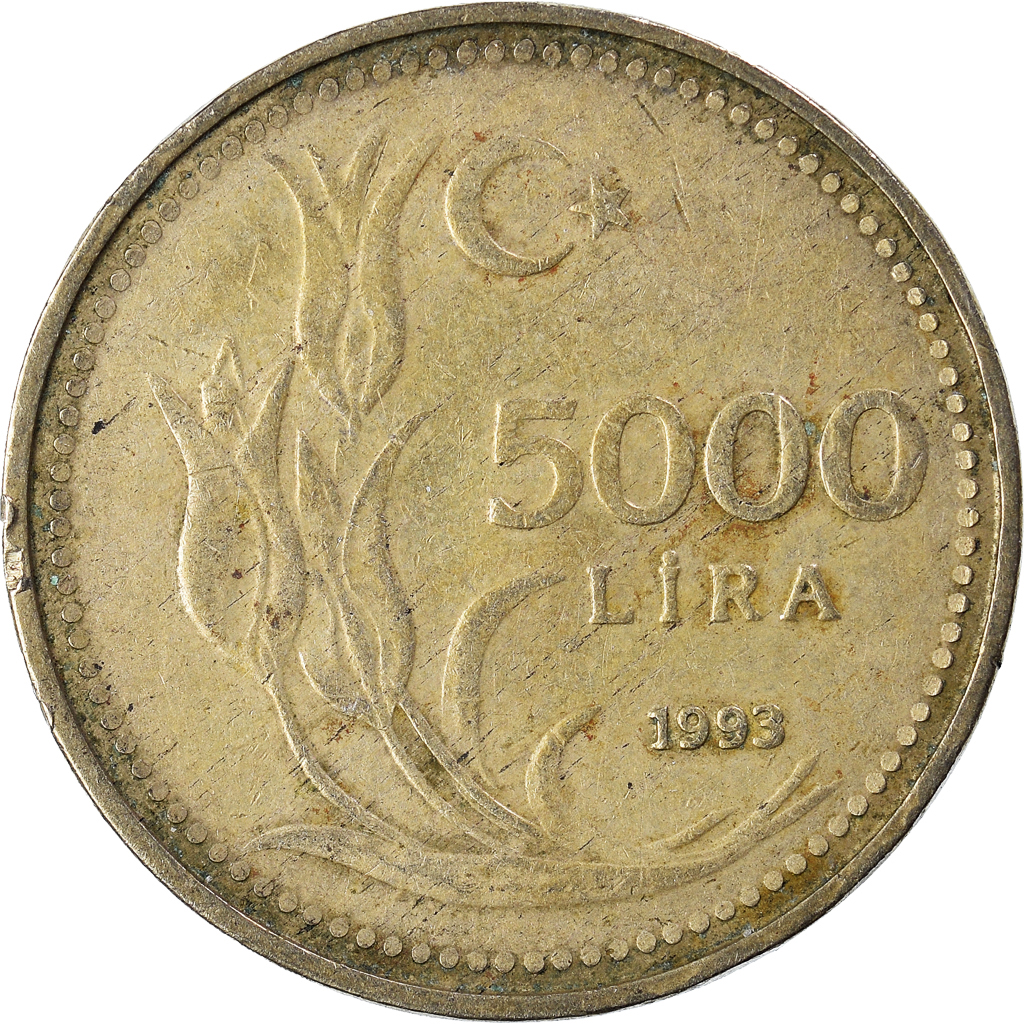 Coin, Turkey, 5000 Lira, 1993