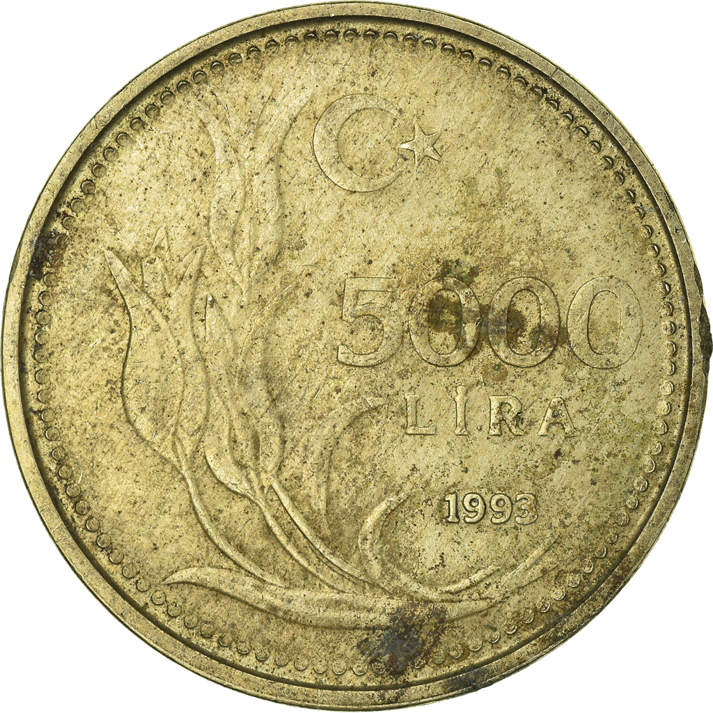 Moneda, Turquía, 5000 Lira, 1993