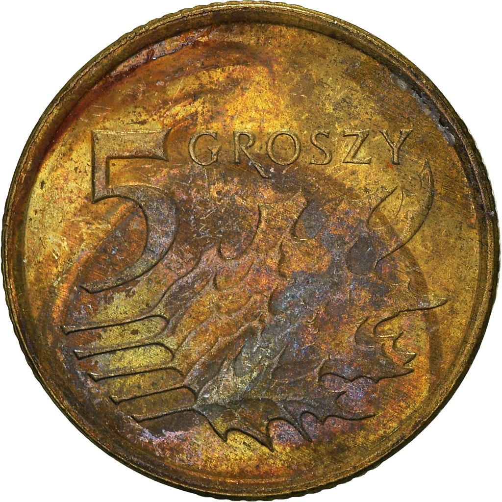 Moneda, Polonia, 5 Groszy, 2013