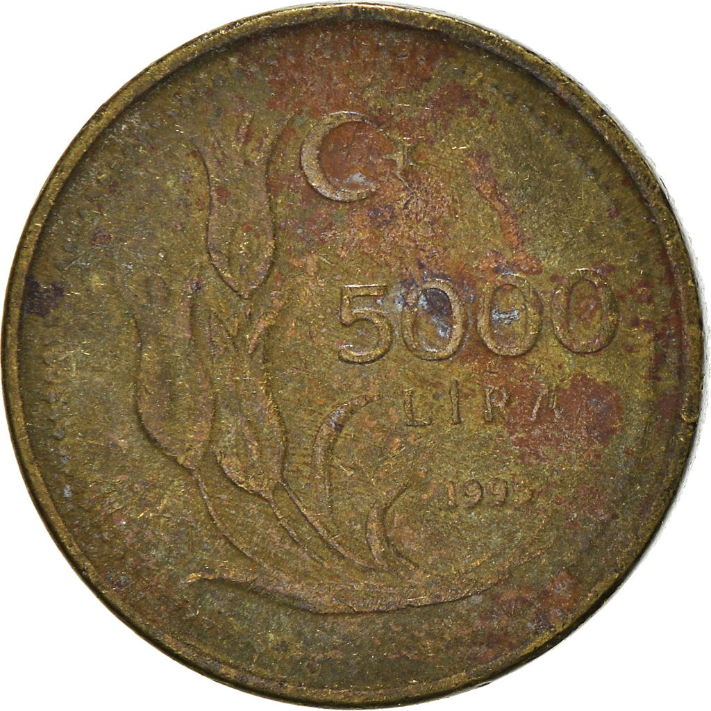 Moneda, Turquía, 5000 Lira, 1995